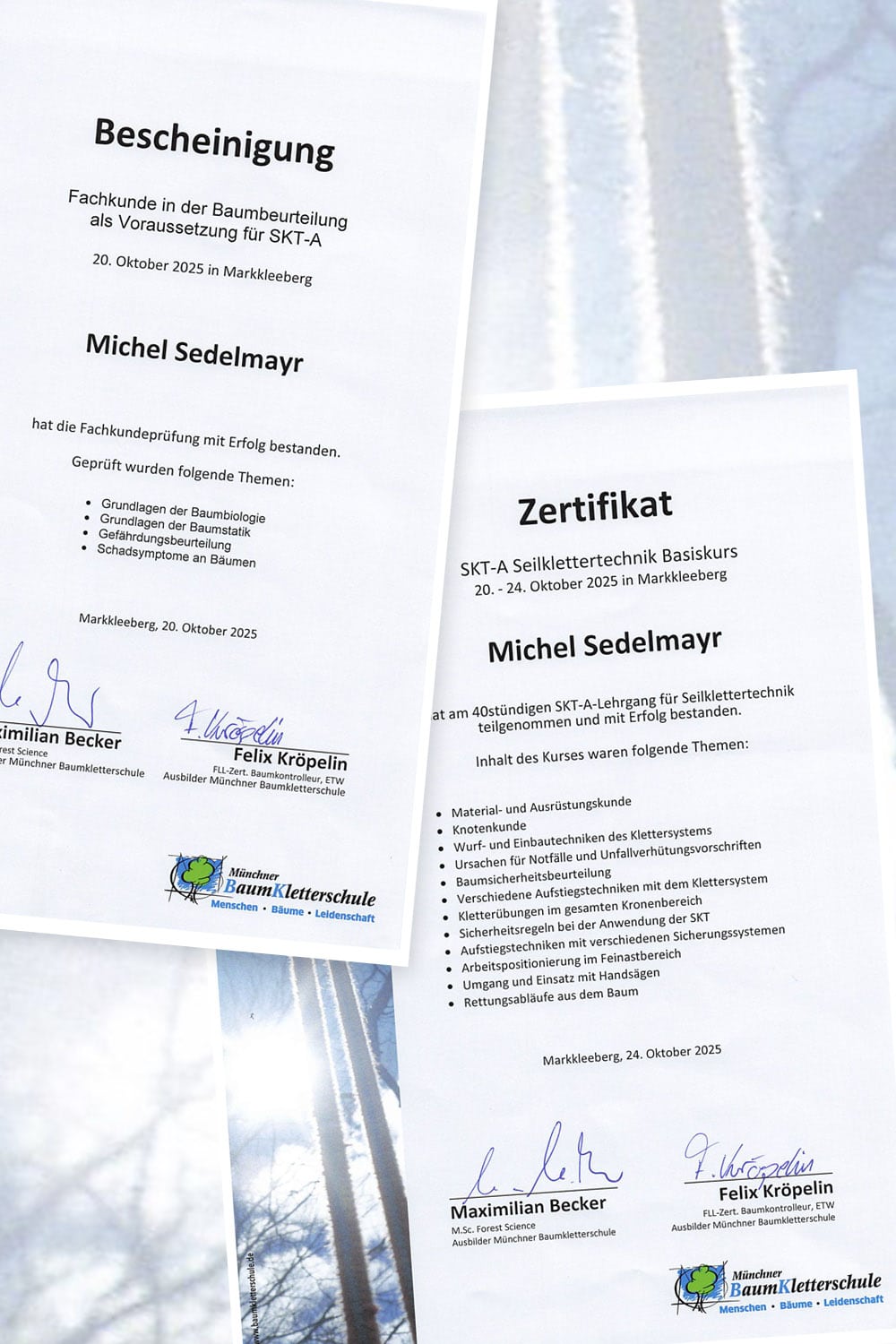 Baumkletterkurs | Zertifikat Baumkletterkurs | Zertifikat